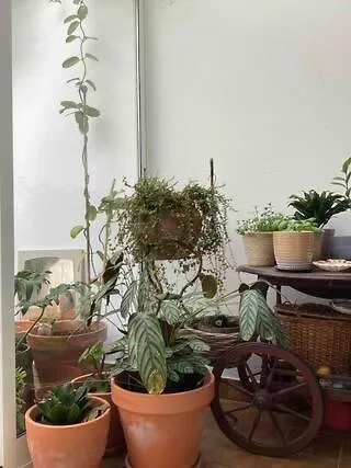 La Casita 13 Accommodatie bij particulieren
